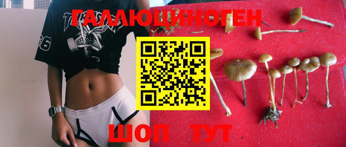 Псилоцибиновые грибы ЛСД  купить  сайты  Трёхгорный  Вход с VPN 